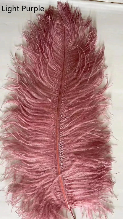 Aveline Feather Lamp