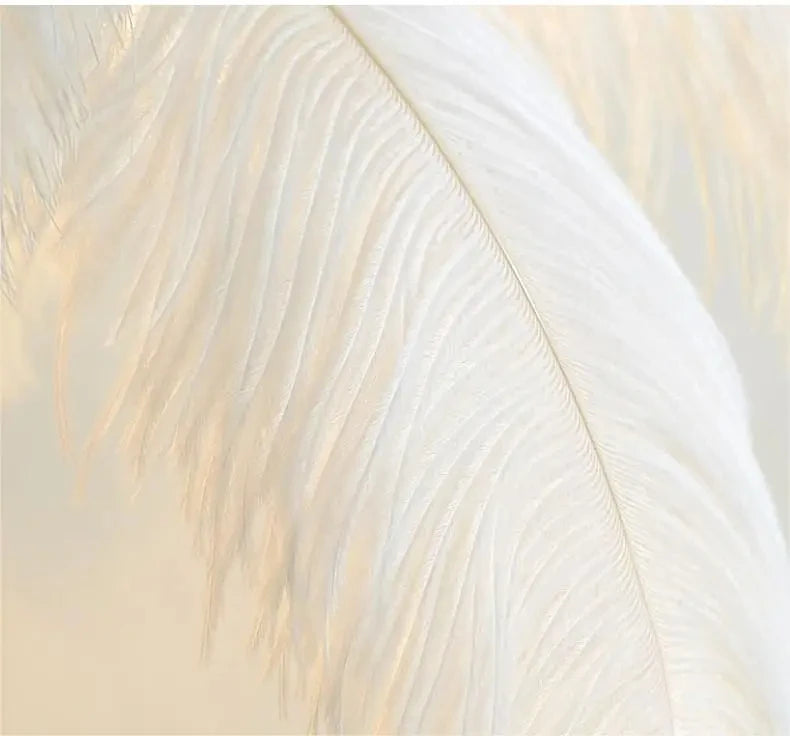 Aveline Feather Lamp
