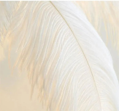 Aveline Feather Lamp