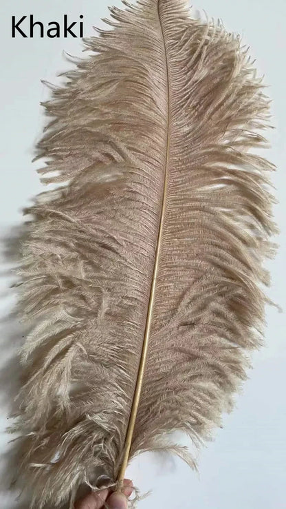 Aveline Feather Lamp