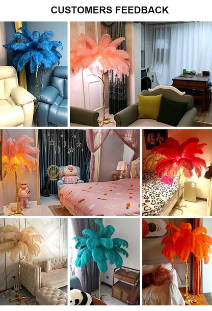 Aveline Feather Lamp